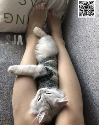 一人上面3人免费观看_720神马影院手机在线