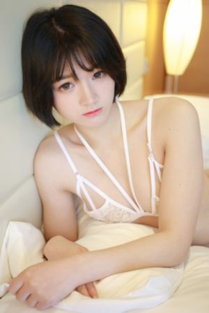 芈月传电视剧多少集_DVD手机在线观看