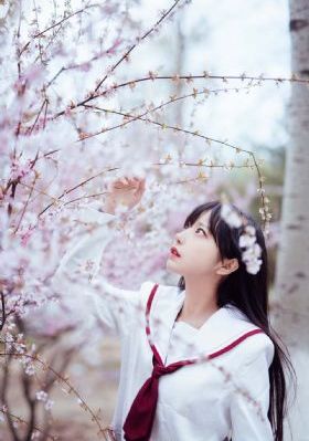 热血燃烧 电影_蓝光电影在线观看